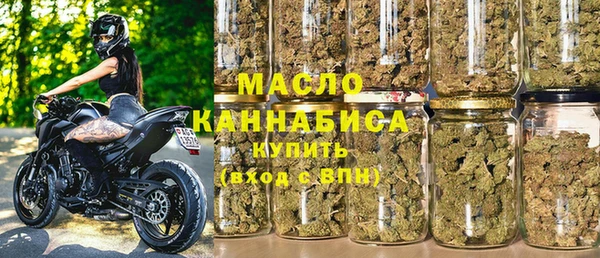 индика Весьегонск