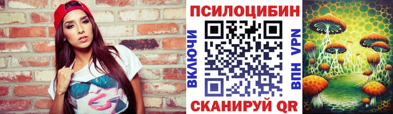 дарнет шоп  площадка состав  Псилоцибиновые грибы Cubensis  Фокино 
